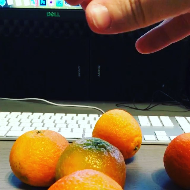 Clementin-magi: Tryl med frugter 🍊✨