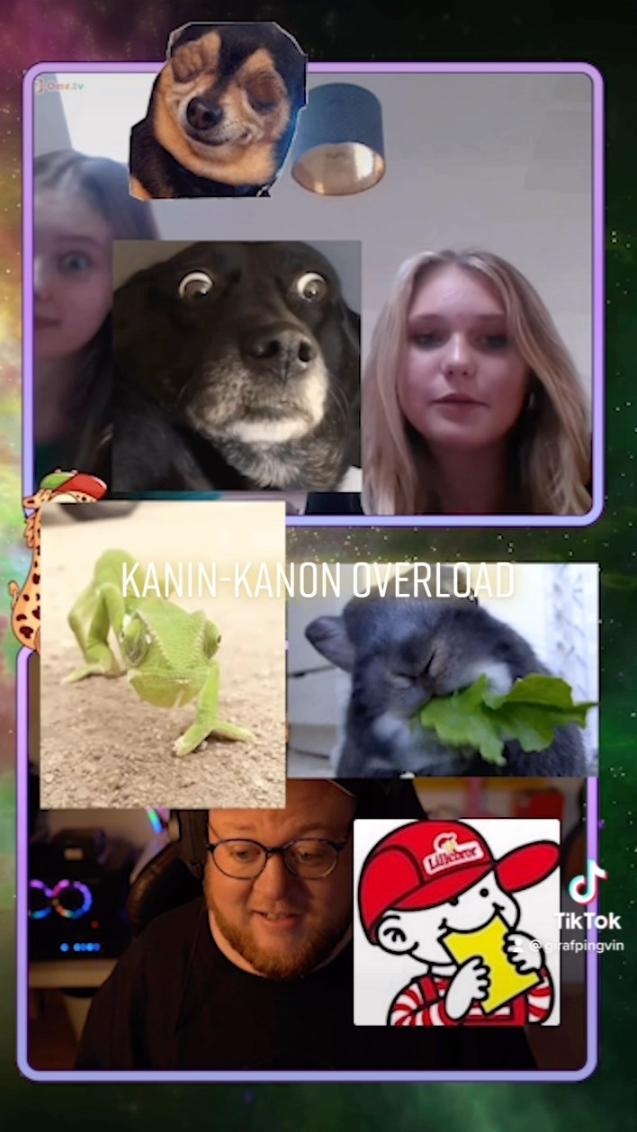 Kaninviden: Fra Nul til Ninja! 🐇💥