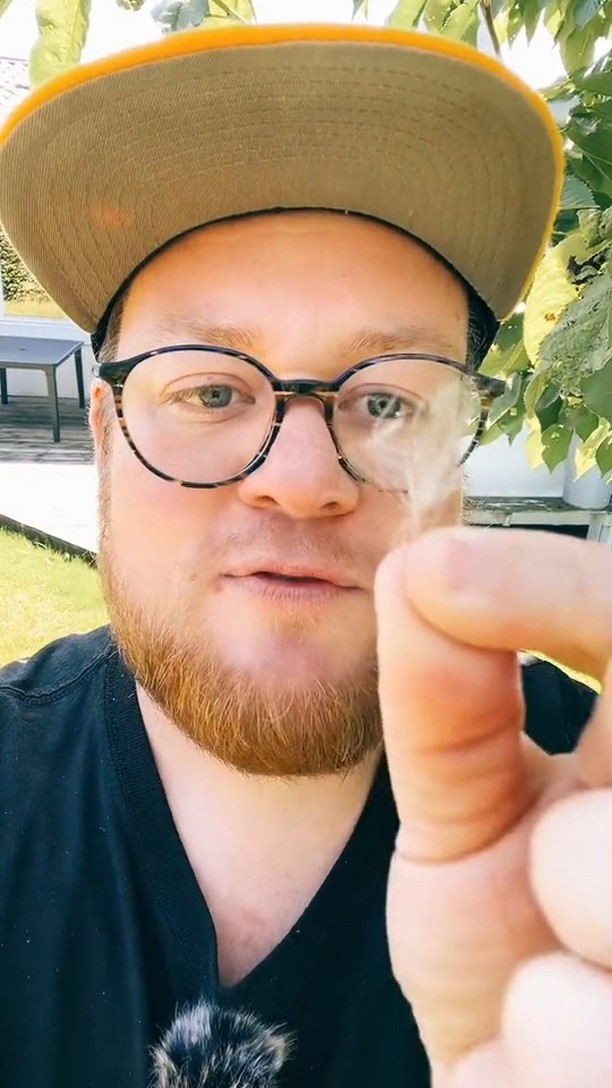 Frygter I bier 🐝 eller hajer? 🦈