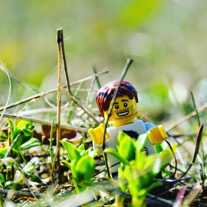 Photo by girafpingvin (Daniel Bahl)🦒️🐧️ on March 28, 2022.