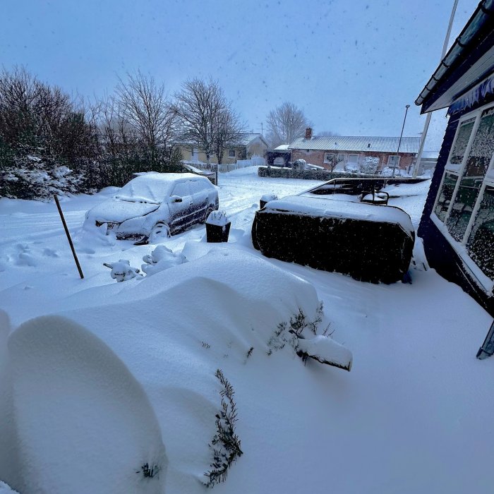 Photo by girafpingvin (Daniel Bahl)🦒️🐧️ in Silkeborg, Denmark.