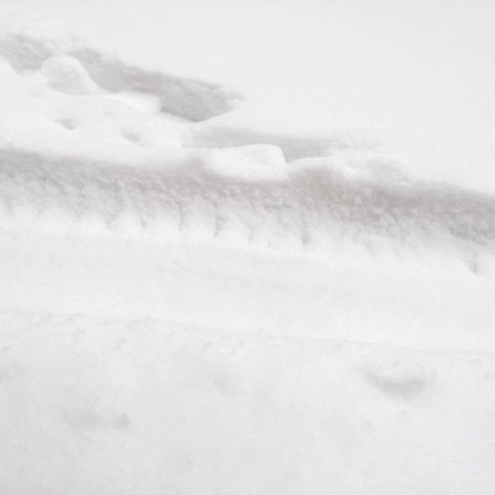 Photo by Daniel Bahl on January 23, 2015.