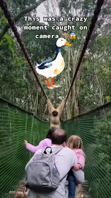 Weekend-Wonderland: Abekat eller And? 🙈🦆🍌